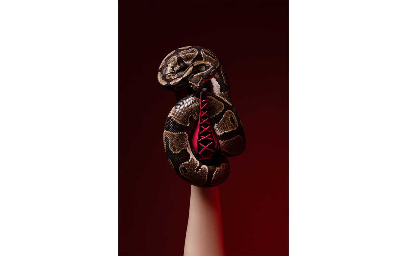 Boudoir_0003_CAT01160graphi