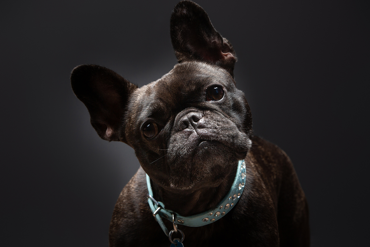 Bailey&Kalee-3015 copy