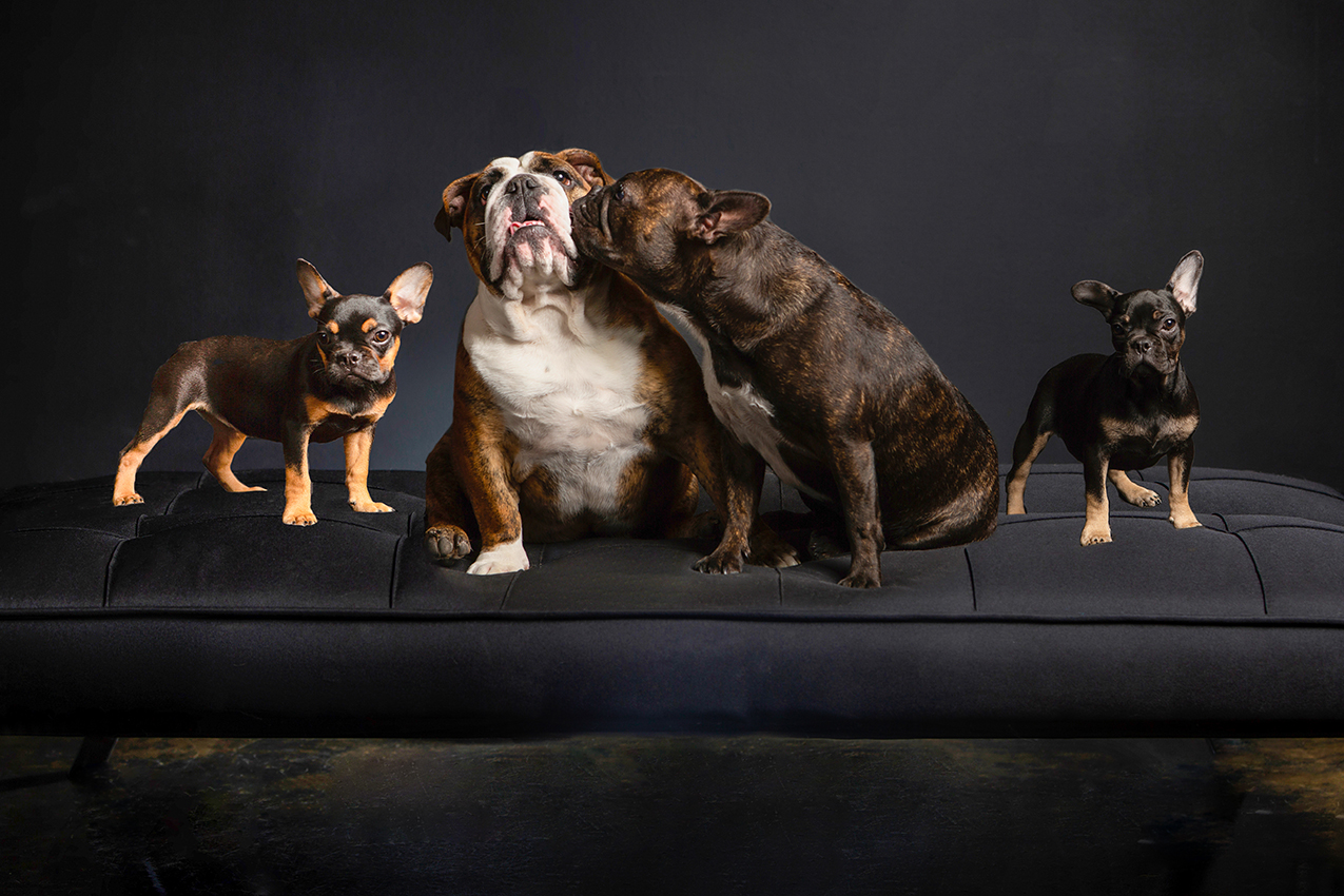 Stuffel-3156-2b copy